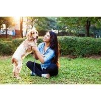 Online Animal Healing & Communication Diploma