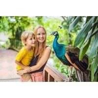 Fife Zoo Entry Ticket - Kids And Adult Tickets - Easter School Holidays Availability!