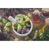 Online Master Herbalist Course