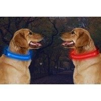 Usb Rechargeable Led Dog Collar - 7 Colours! - Pink