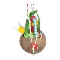 Adventure Bound Hanging Fun Coconut Beach Bum Colada Bird Parrot Toy