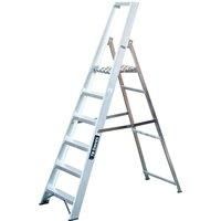 TB Davies 6 Tread Professional Platform Step Ladder