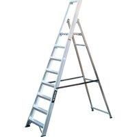 Aluminium Platform Step Ladders Professional (Class 1) TB Davies 4 to 12 Treads