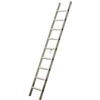 TB Davies 2 5M Professional Single Ladder