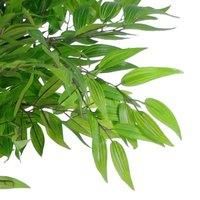 Leaf Artificial Ficus Tree/Plant, Luxury Ruscus, 100cm