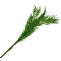 120Cm Artificial Palm Tree Decor - Green