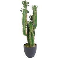 Jungle Artificial Plants Tropical - Cactus and Sansevieria  Realistic