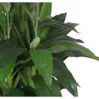 Artificial Orchids Flower Plant Displays - with Planters by Leaf Design