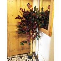 Leaf Artificial Tree/Plant, Mixed Materials, Green and Red Ficus, 120cm