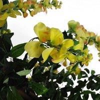 Artificial Wisteria Tree 120cm Artificial Yellow Real Wood Trunk Realistic