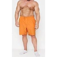 Big & Tall Mens Swim Shorts