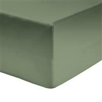 Habitat Cotton Rich 180 TC Plain Green Fitted Sheet - Double