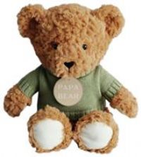 Argos Home 25cm Papa Bear Soft Toy