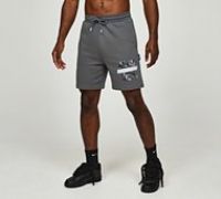 Hoodrich OG Territory Fleece Short - Grey - Size XS