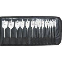 Bahco 15pc Flat Bit Set