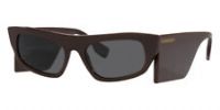 Burberry Women's BE4385-403787 Palmer 55mm Brown Sunglasses