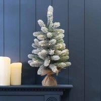 Black Box Trees 60Cm Frosted Tabletop Tree-warm White Lights